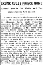 Skunk 8-11-1918