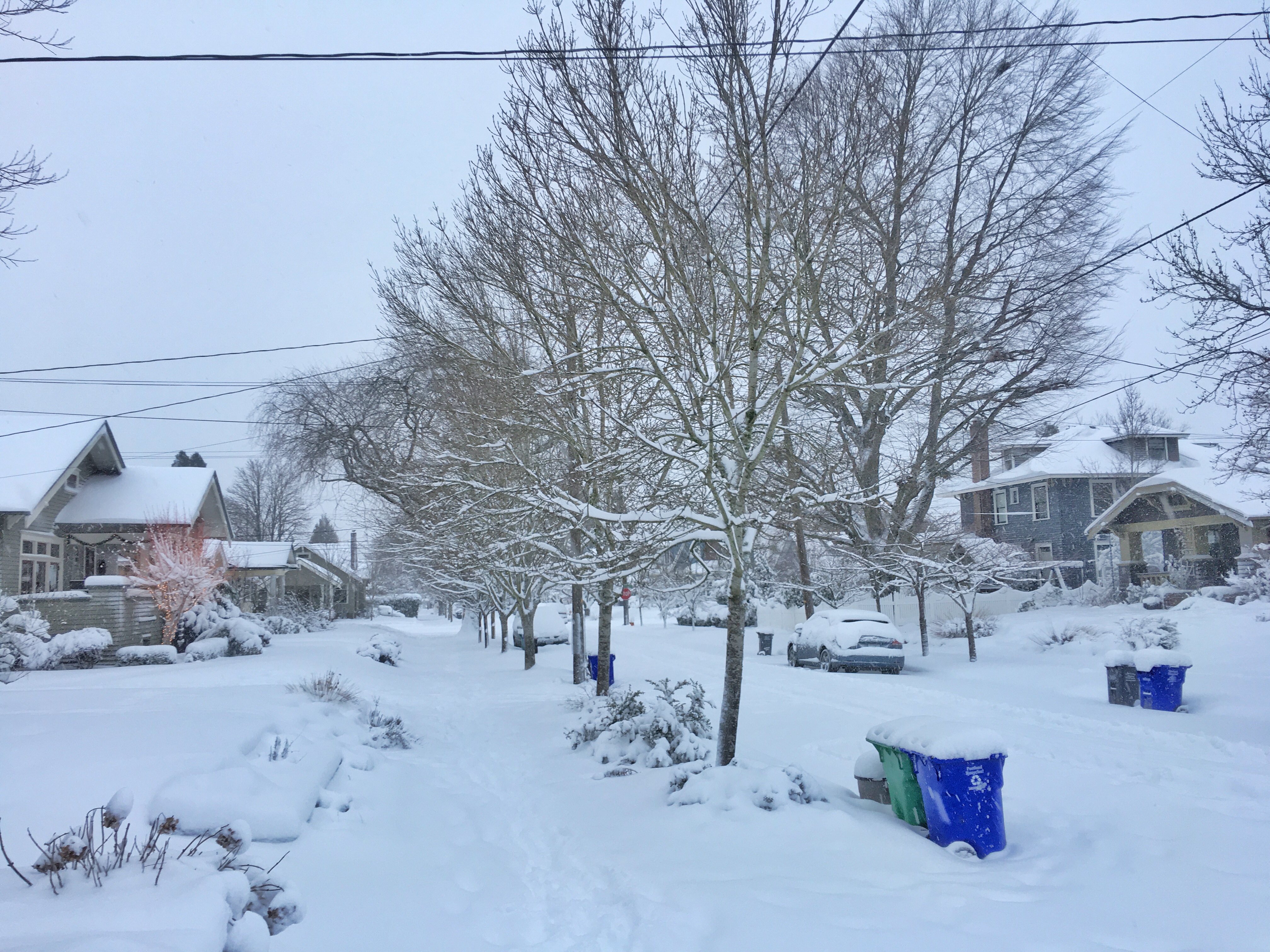 january-2017-snowstorm