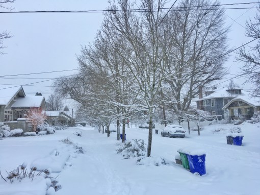 january-2017-snowstorm